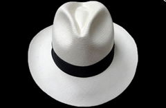 Panama Hat