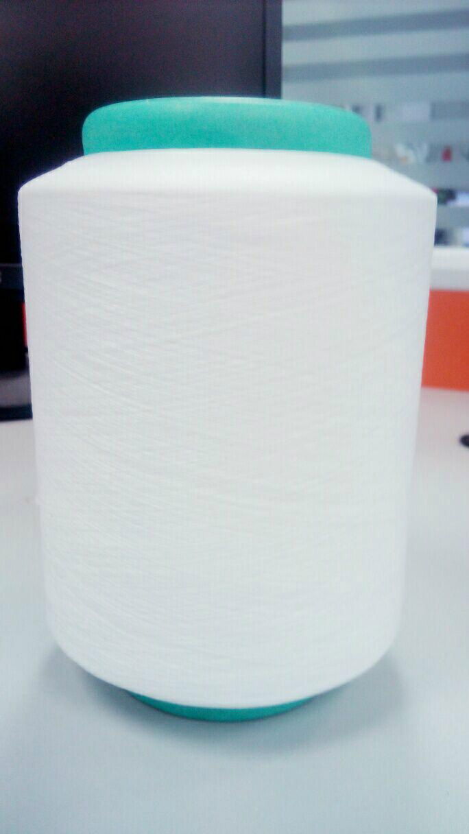 Best quality 100%   raw white materia l nylon&polyamides 6 yarn