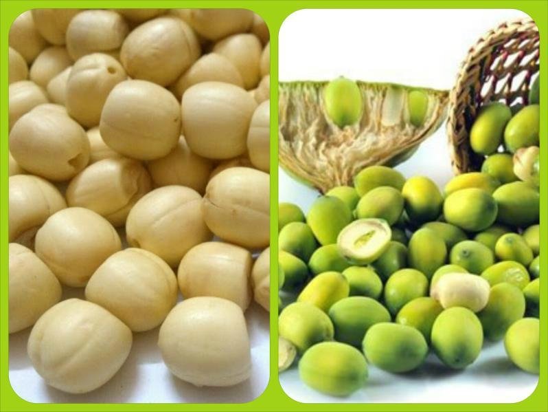 Vietnamese lotus products (seeds, root, pod) 2