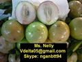 Vietnamese Star Apple