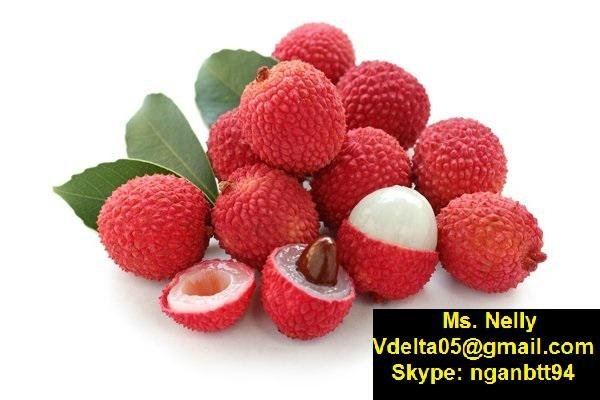 Vietnamese lychee ( fresh or IQF or canned)