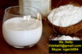 Vietnamese coconut milk powder 1