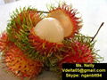 Vietnamese rambutan