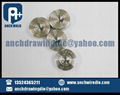 Polycrystalline Diamond wire drawing dies  2