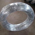 Galvanized Iron Wire 1