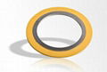 spiral wound gasket