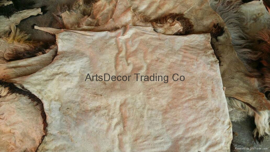 DRY SALTED GOAT SKINS (Ukraine Trading Company) Raw Hides and Skins