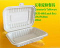 Biodegradable Cornstarch Tableware 1