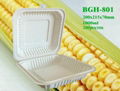 Biodegradable Cornstarch Tableware 1