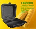 Biodegradable Cornstarch Tableware 4