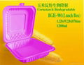 Biodegradable Cornstarch Tableware 3