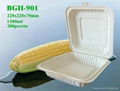 Biodegradable Cornstarch Tableware 2