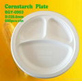 Biodegradable Cornstarch Tableware 1