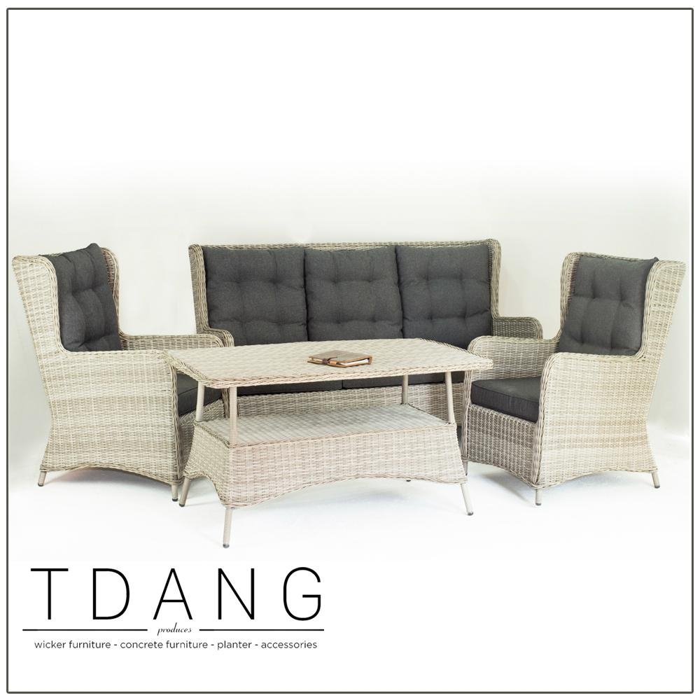 Trieste 4 Pieces Seating Group with Cushions