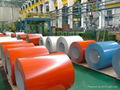 Prepainted steel coil 4