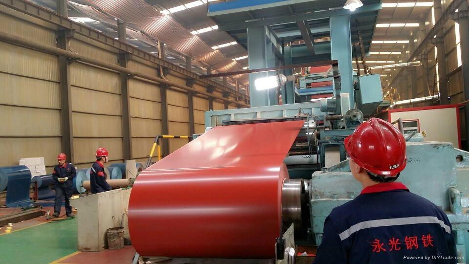 Prepainted steel coil