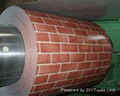 prepainted galvanized steel coil 4