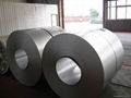 Galvalume steel coils