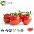 Natural Lycopene 2