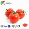 Natural Lycopene 3