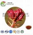 Rhodiola Rosea Extract 4