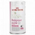 Royal Canin babycats milk  food