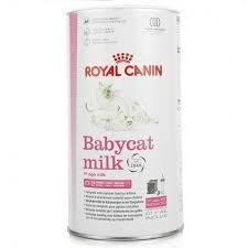 Royal Canin babycats milk  food