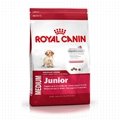 Royal Canin Medium junior dry dog  food