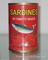 Canned Sardine Fish