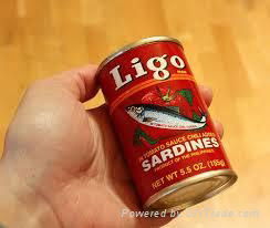 Canned Fish