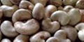 Cashew Nuts 3