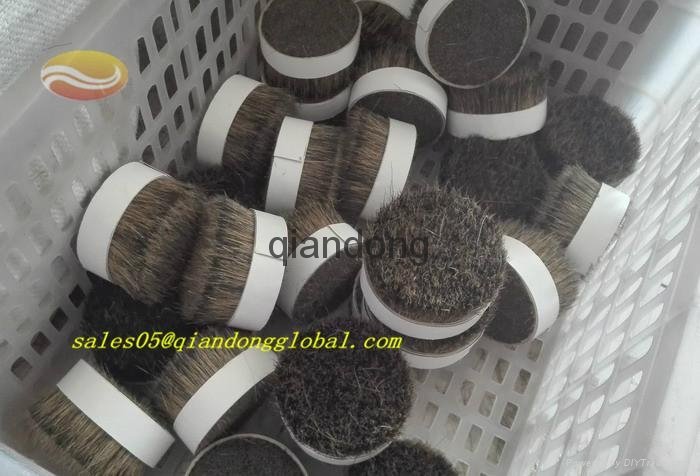 Boar hair knots for shaving brush manufacturers