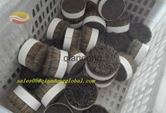 Boar hair knots for shaving brush manufacturers