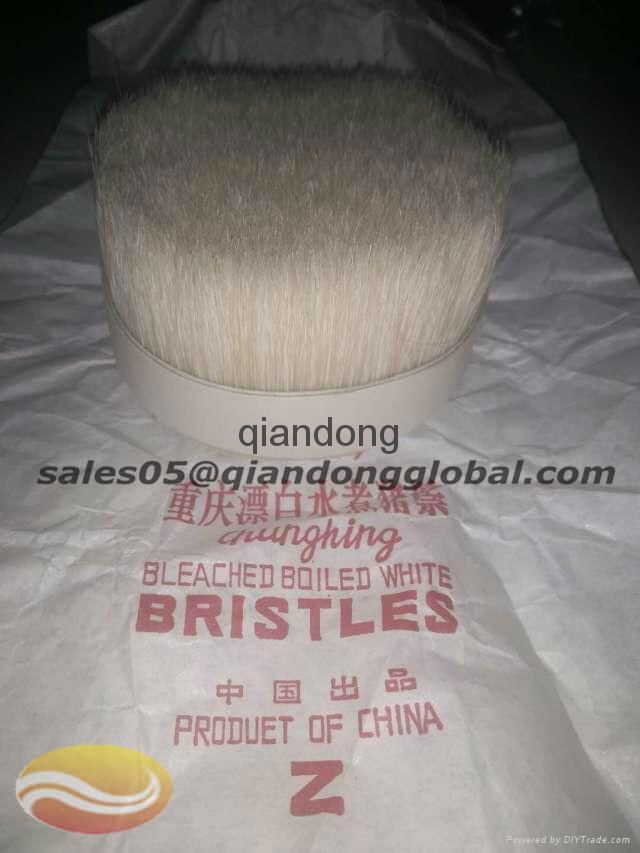 Boar hair knots for shaving brush manufacturers 4