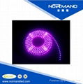 Emitting Side Flexible Led Strip, 335