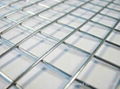 STAINLESS STEEL WELDED MESH  1