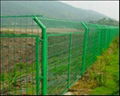 wire mesh fence 