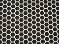 Perforated Metal Mesh 4