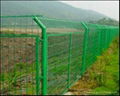 wire mesh fence