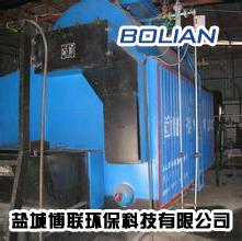 射陽燃煤工業鍋爐改造生物質 5