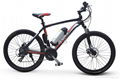 26'' bottle battery mountain electric bike 