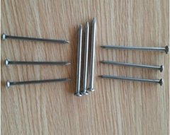 wood common nail common construction wire nail