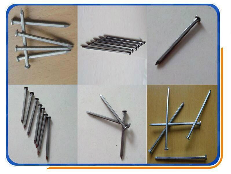 wood common nail common construction wire nail 4