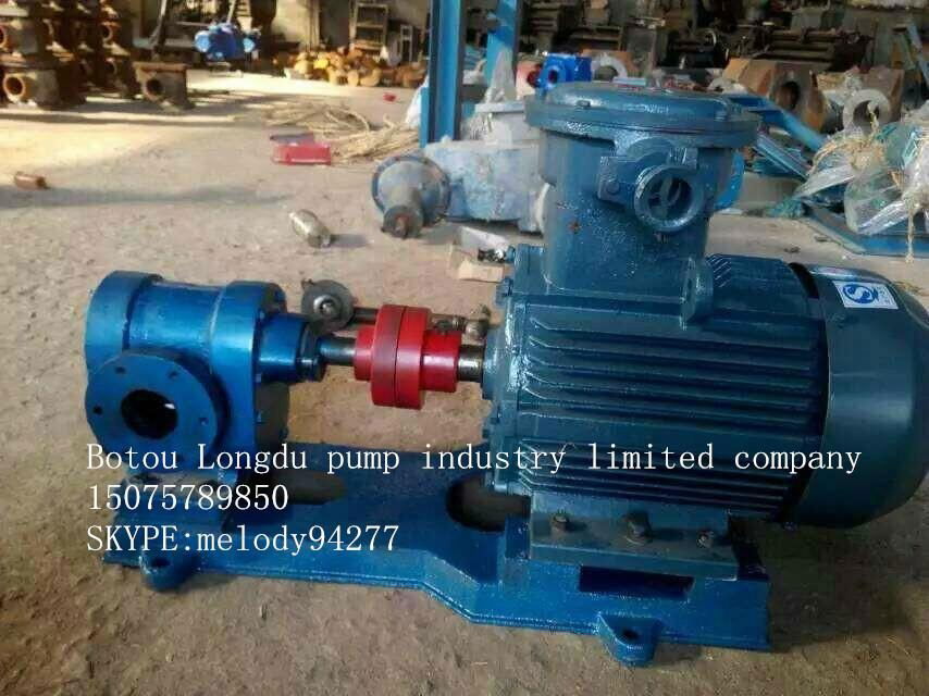 2CY Series Gear Oil Pump 4