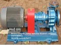 BRY type heat conducting oil pump