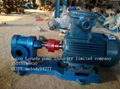 2CY Series Gear Oil Pump