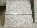 Chinese Economical Grey Granite G603 G623 Granite Tile 1