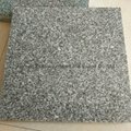 Chinese Economical Grey Granite G603 G623 Granite Tile 2