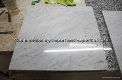 Bianco Carrara White Marble Flooring Tile 305x305x10mm