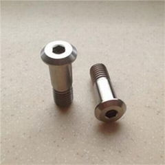 Titanium Auto Screws